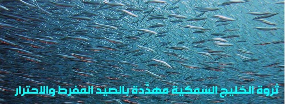 ثروة الخليج السمكية مهدَّدة بالصيد المفرط والاحترار