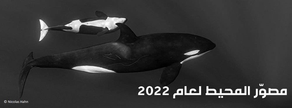 مُصوِّر المحيط لعام 2022 