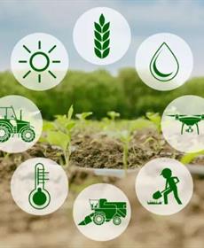 الزراعة الذكية كربونياً: بين زيادة الإنتاج ومواجهة تغيُّر المناخ