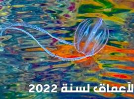أجمل صور الأعماق لسنة 2022