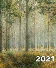 البيئة في سنة 2021: قصص نجاح تعزز الأمل في رعاية البيئة وتخفيف أزمة المناخ