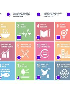 More than Just SDG 12: How Circular Economy can Bring Holistic Wellbeing