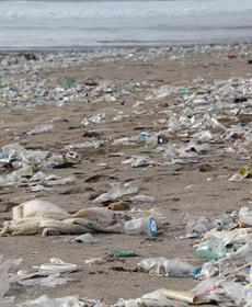 Preventing Plastic Pollution with Partnership