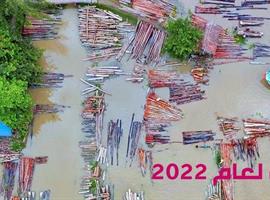 مصوِّر البيئة لعام 2022