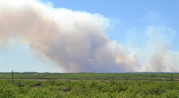 Wildfires are fuelling air pollution, UN weather body says Wildfires are fuelling air pollution, UN weather body says