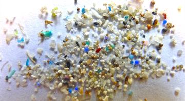 Microplastics cause damage to human cells, study shows