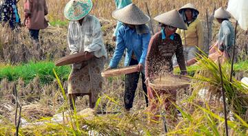 Trash for rice: Bali recycling scheme gives families pandemic lifeline