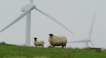 More than 1,000 homes linked to £20bn green energy grid expected to be built in Highlands