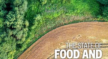 FAO warns of ‘silent crisis’ as land degradation threatens billions