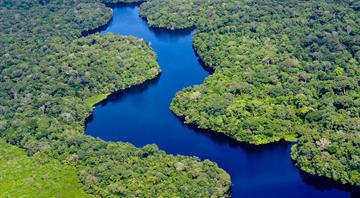 Brazil's Amazon must be protected to reach global climate goal, U.S. envoy says