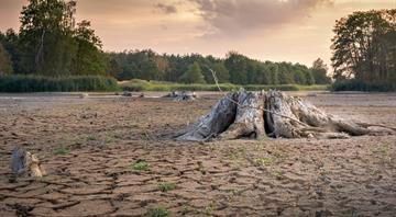 Explainer: Why are NDCs important in global climate talks?