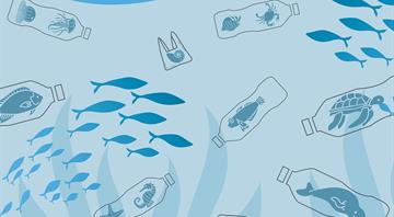 UAE launches scheme to monitor marine plastic waste UAE launches scheme to monitor marine plastic waste