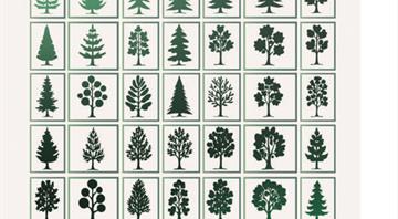 Wildfires, rising temperatures imperil northern hemisphere forests, UN says Wildfires, rising temperatures imperil northern hemisphere forests, UN says