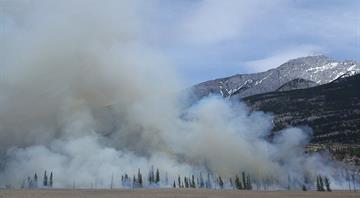 Canada wildfires last year released more carbon than several countries