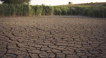 Climate change-related droughts dent progress on energy emissions -report