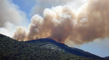Record wildfires burn more than 1 million hectares of EU land this year Record wildfires burn more than 1 million hectares of EU land this year