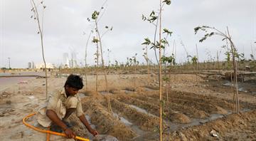 Pakistanis plant trees to provide relief from scorching sun