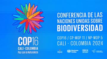 Leaders urge world to pay up to save nature as COP16 talks open