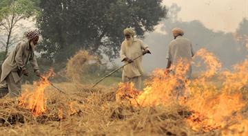 India strives to cut stubble burning to zero to curb pollution