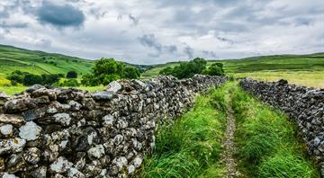 Goals to stop decline of nature in England ‘off track’, report warns