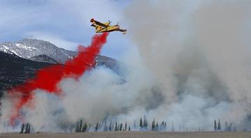 EU to buy forest firefighting planes as climate crises intensify