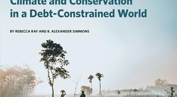 Vulnerable countries need debt relief 'now or never', new report warns