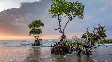Pace of rise in global sea level has doubled, UN climate report says Pace of rise in global sea level has doubled, UN climate report says