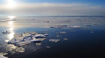 Antarctica sea-ice hits new record low