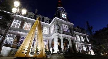 In France, politics not peace trims 'green' Christmas trees