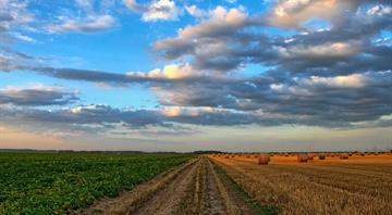 EXCLUSIVE Global investors write to U.N. to urge global plan on farming emissions