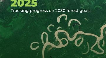 World falling far behind deforestation goals with farms and fires driving loss, report says