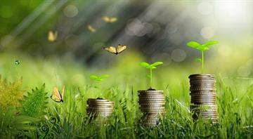 Global green finance rises over 100 fold in the past decade -study