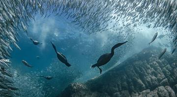 UN ocean summit in Nice closes with key commitments UN ocean summit in Nice closes with key commitments