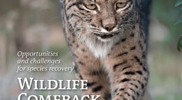Wildlife protection helps species thrive in Europe - report