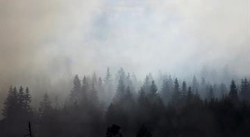 From Siberia to the U.S, wildfires broke emissions records this year