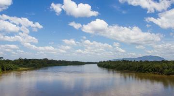 Brazil launches $204 million drive to restore Amazon rainforest