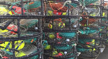 Commercial fishing waste causes growing concern
