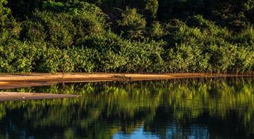 Germany to contribute 1 billion euros to Brazil's forest fund, Brazil environment minister says Germany to contribute 1 billion euros to Brazil's forest fund, Brazil environment minister says