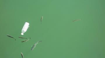 Less plastic litter in oceans than estimated, study finds