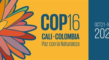 World lags on 2030 nature goals headed into UN COP16 talks