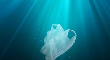 Abu Dhabi to ban plastic bags from June 1