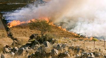 Climate change made deadly wildfires in Turkey, Greece and Cyprus more fierce, study finds Climate change made deadly wildfires in Turkey, Greece and Cyprus more fierce, study finds