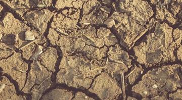 Morocco to spend $1 bln to mitigate drought impact- palace