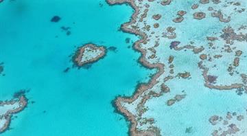 Australia bans coal mine to protect Barrier Reef