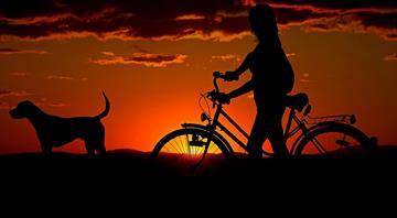 People often miscalculate climate choices, a study says. One surprise is owning a dog People often miscalculate climate choices, a study says. One surprise is owning a dog