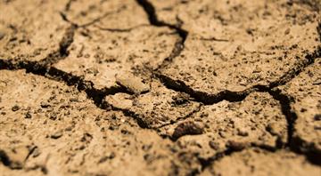 Basel Committee makes climate risk disclosure for bank regulators voluntary Basel Committee makes climate risk disclosure for bank regulators voluntary