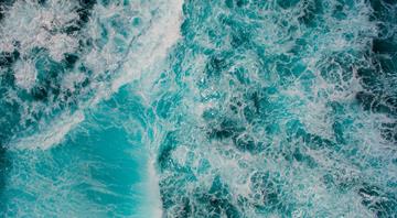 World’s oceans losing their greenness through global heating, study finds World’s oceans losing their greenness through global heating, study finds