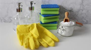 UAE launches sustainability guidelines for domestic workers in 8 languages UAE launches sustainability guidelines for domestic workers in 8 languages