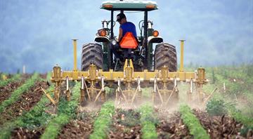 Climate crisis leaves European farmers vulnerable to far right, say campaigners