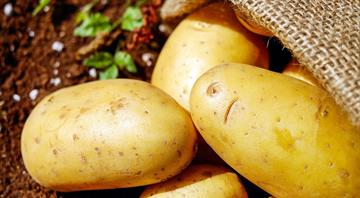 Scientists attempting to make potato that can withstand climate change
